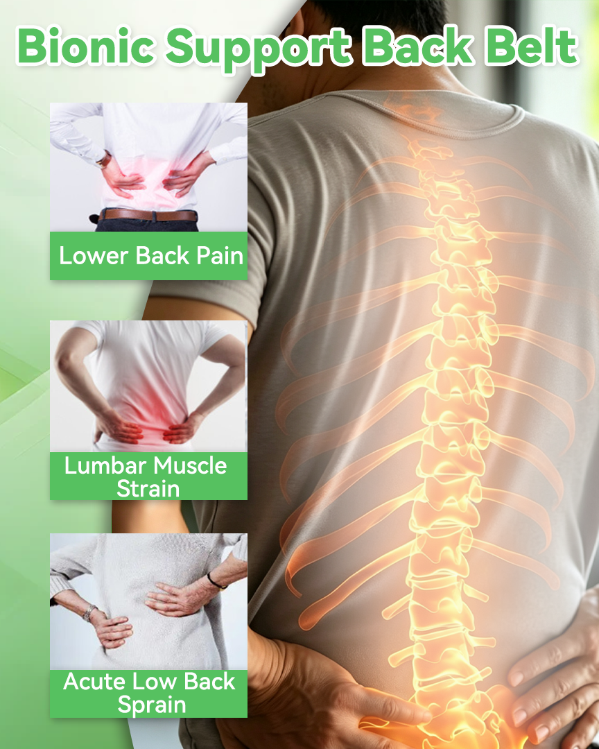 Back Brace for Lower Back Pain Relief with 3D Lumbar Support Pad, Breathable Waist Support Belt for Herniated Disc Sciatica, Adjustable Compression Straps for Men Women Work